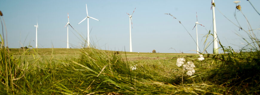 Windräder und Gesundheit: Langzeitstudie bringt Licht ins Dunkel